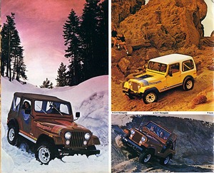 1979 Jeep Full Line-06.jpg